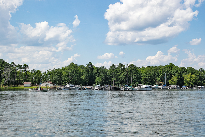 lake-conditions-lake-level-shoreline